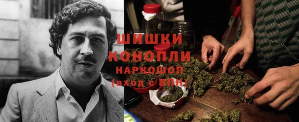 гашик Новозыбков