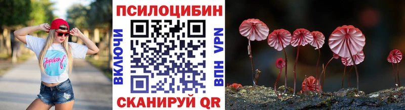 Псилоцибиновые грибы Psilocybe  Снежногорск 